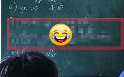 len bang lam bai tap tieng anh nam sinh dung hinh vi quen sach kien thuc cau tra khien ca lop bat cuoi