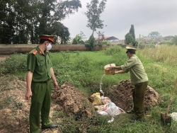 phat hien hon 6 tan san pham dong vat dong lanh nhap lau vao ha noi