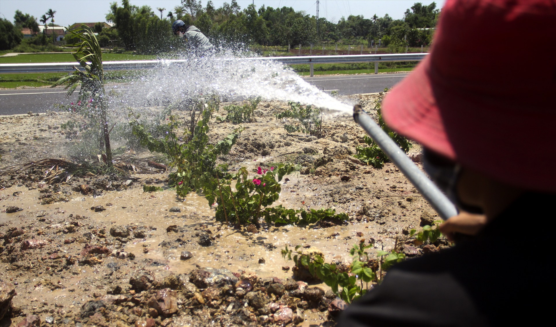 nhuc nhoi nan trom hoa tren quoc lo nghin ti vua khanh thanh