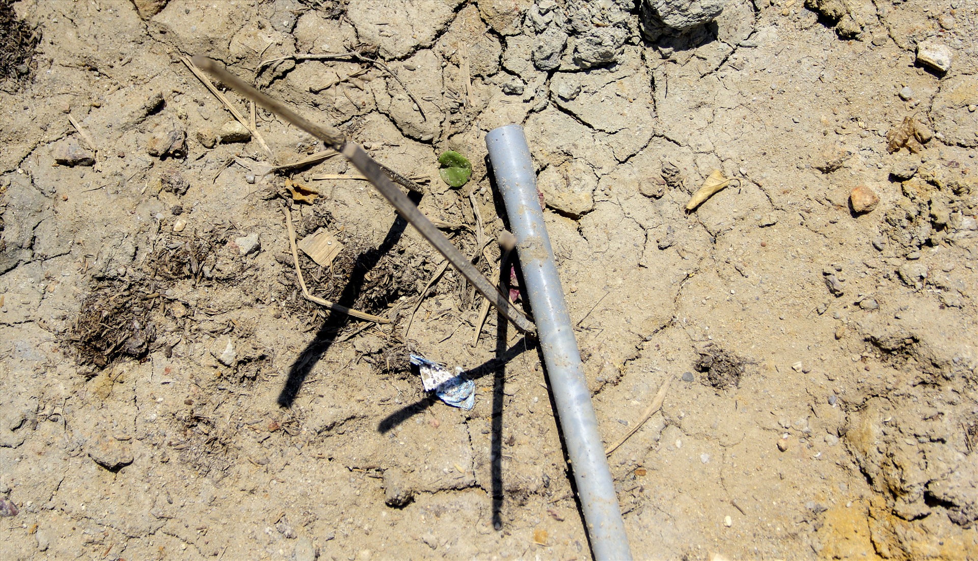 nhuc nhoi nan trom hoa tren quoc lo nghin ti vua khanh thanh