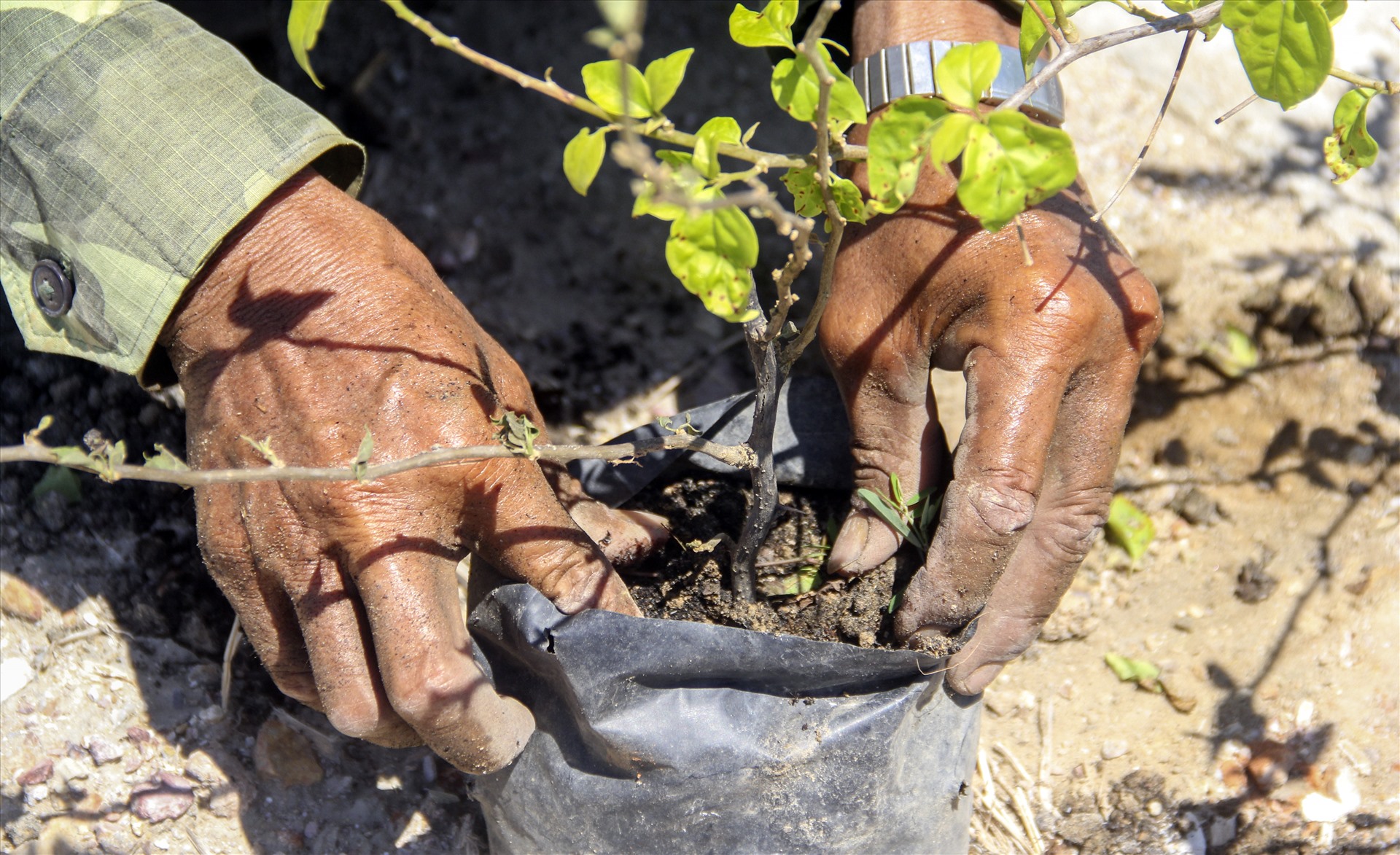 nhuc nhoi nan trom hoa tren quoc lo nghin ti vua khanh thanh