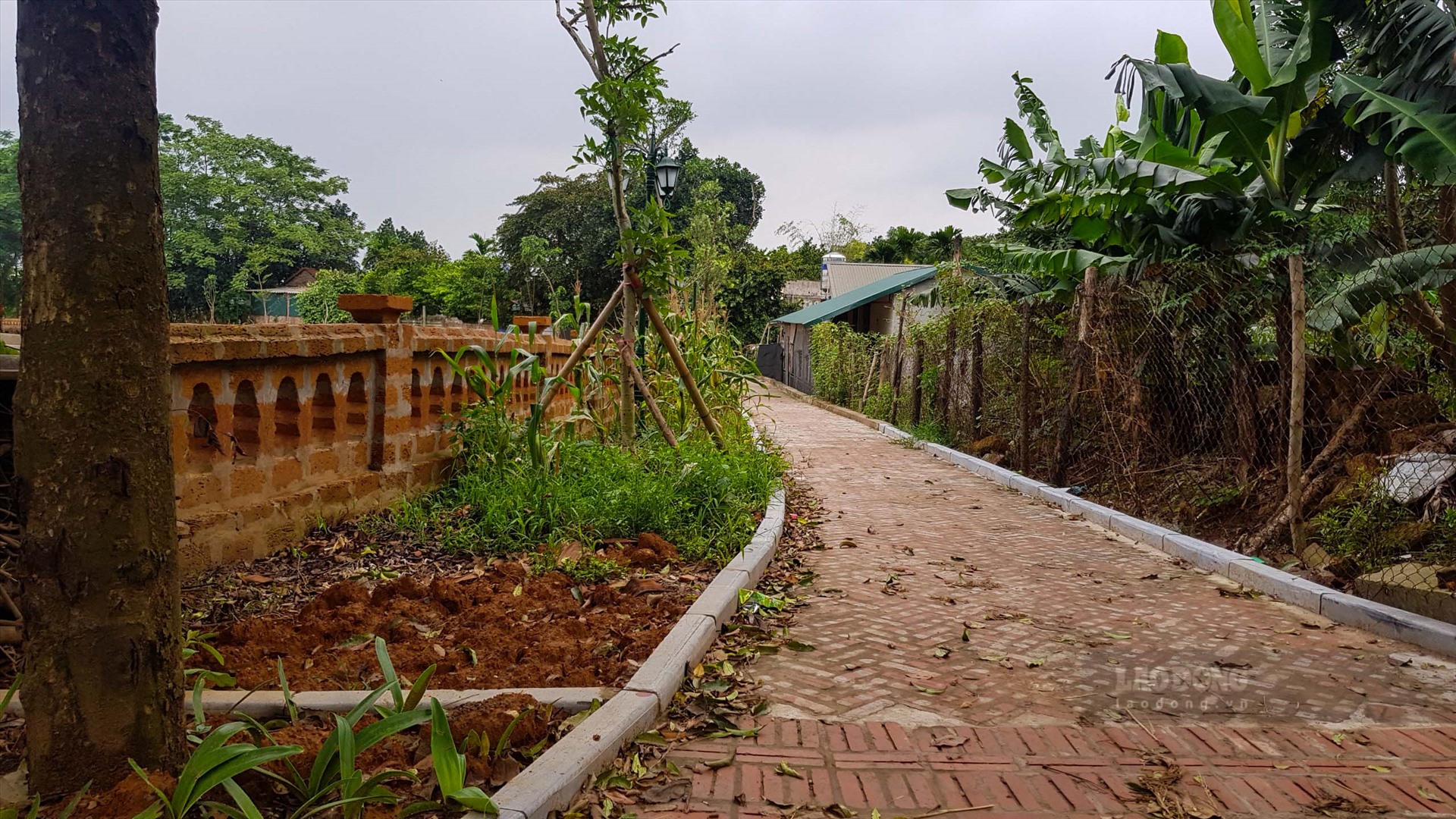 lo ao ca di san bi xe thit nguoi dan duong lam dong loat ky don to cao