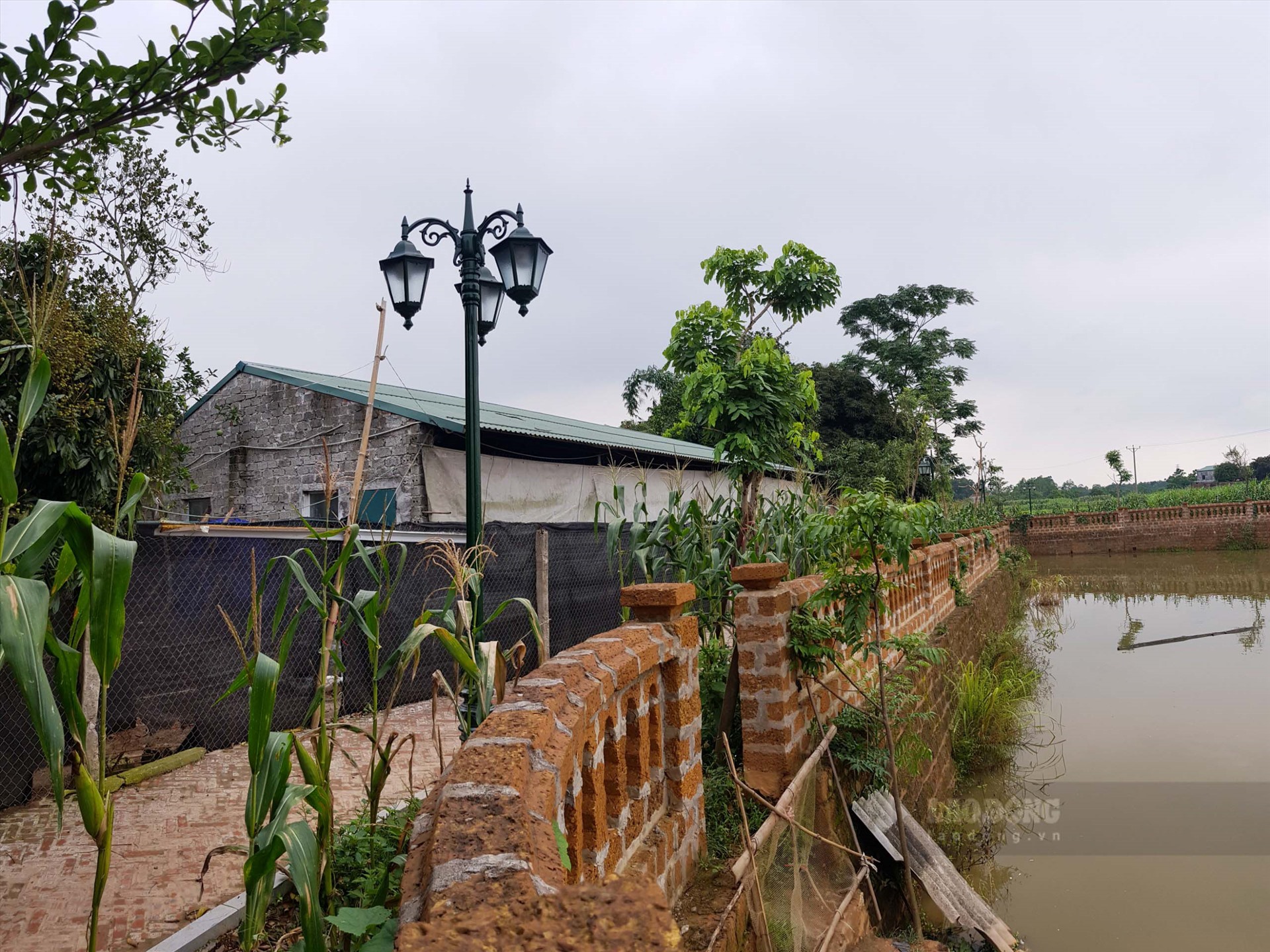 lo ao ca di san bi xe thit nguoi dan duong lam dong loat ky don to cao