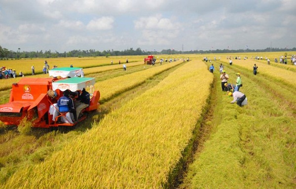 dai bieu quoc hoi dong tinh voi chu truong mien thue dat nong nghiep giam ganh nang cho nong dan