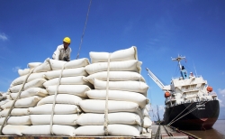 Việt Nam có thể vượt Thái Lan để đứng đầu thế giới về xuất khẩu gạo