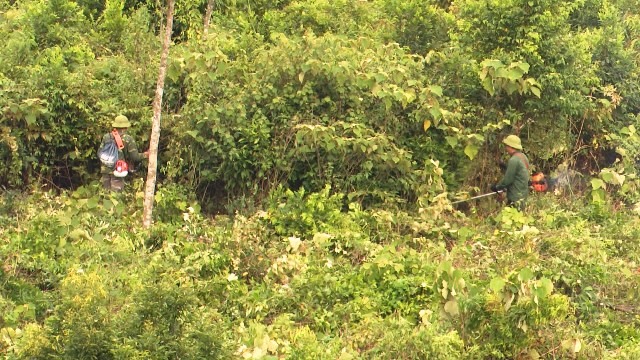 xu ly dut diem tinh trang hang tram nguoi dan chiem dat rung trai phep