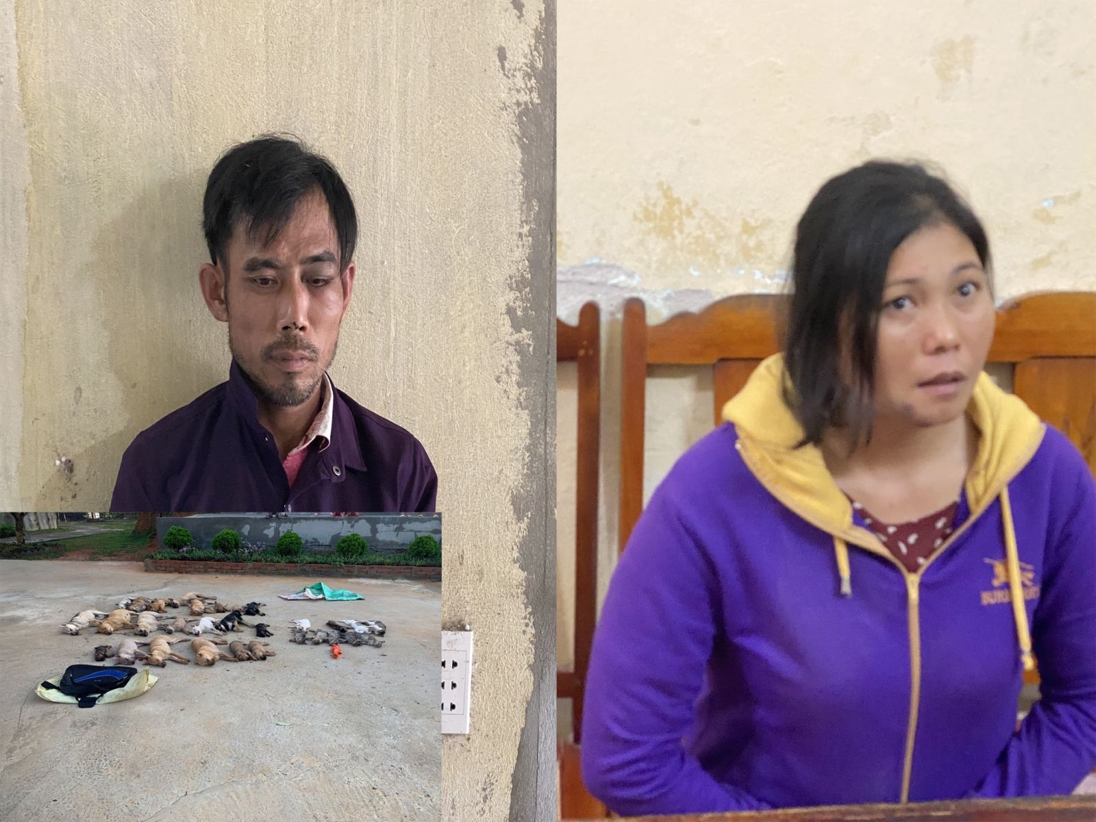 Ổ tập kết chó trộm núp bóng quán thịt chó o tap ket cho trom nup bong quan thit cho