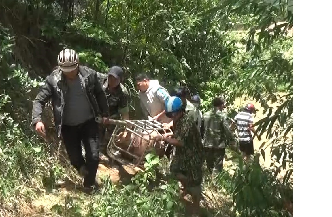 mac ao phao cho lon vuot song tham lau tu lao ve noi dia