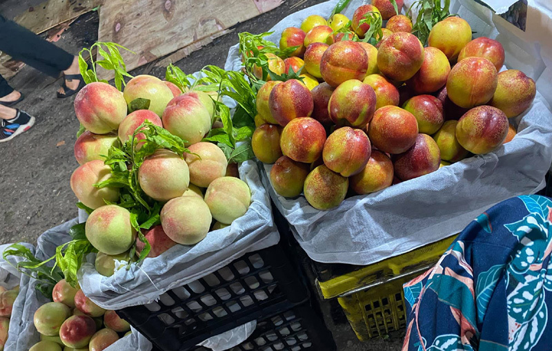 Dân buôn tiết lộ sự thật về đào Sa Pa bán tràn ngập chợ dan buon tiet lo su that ve dao sa pa ban tran ngap cho