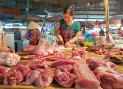 Nỗ lực giảm giá thịt lợn: Nhập thêm thịt ngoại, mở các điểm bán bình ổn giá