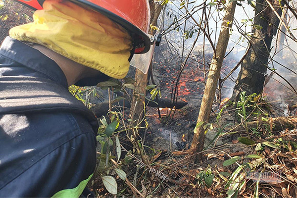 xuyen dem dap chay rung o ha tinh trua nay lua lai bung phat