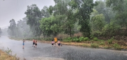 Hà Tĩnh: Người dân hân hoan đón “mưa vàng” giải nhiệt khốc liệt