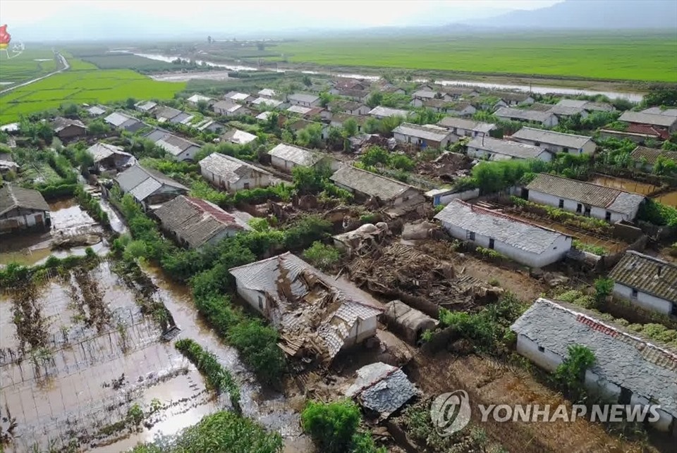 Hôm 7.8, KCNA đưa tin, huyện Unpha đã ghi nhận lượng mưa lớn, gây ngập lụt lần 730 ngôi nhà, 600 ha ruộng lúa và phá hủy 179 ngôi nhà. Theo cơ quan thời tiết Triều Tiên, dự báo mưa sẽ tiếp tục xảy ra trong ngày 10 và 11.8, với lượng mưa từ 50 đến 150 mm tại tỉnh Hwanghae. Ảnh: Yonhap.