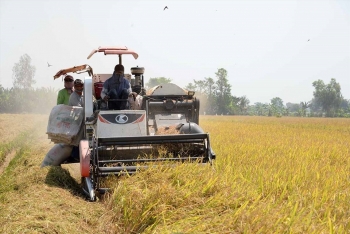 Việt Nam đang trở lại vị trí xuất khẩu gạo số 1 thế giới
