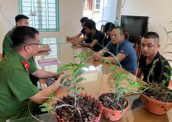 Cơn sốt lan Phi điệp đột biến: Hé lộ mánh khoé tinh vi của nhóm lừa đảo - Ảnh 1