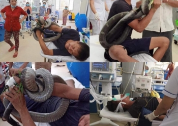 Bác sĩ "mách nước" cách sơ cứu khi bị rắn độc cắn