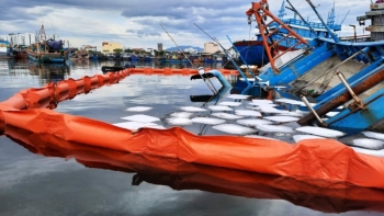 Khẩn cấp xử lý sự cố tràn dầu do chìm tàu cá tại Cảng cá Thọ Quang