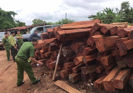 Gia Lai: Bắt giam đối tượng mua gỗ lậu 'khủng' rồi bán cho doanh nghiệp tư nhân - Ảnh 1