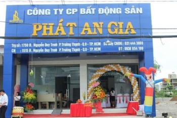 Vẽ dự án 