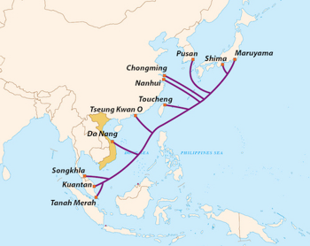 Vì sao cáp biển AAG liên tục đứt nhưng các nhà mạng Việt Nam vẫn bị phụ thuộc?