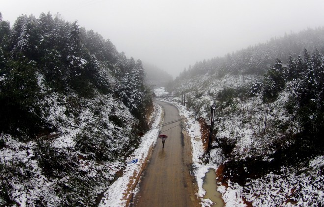 Băng giá và sương muối phủ trắng Fanxipan, nhiều nơi ở Bắc bộ rét đậm ảnh 1
