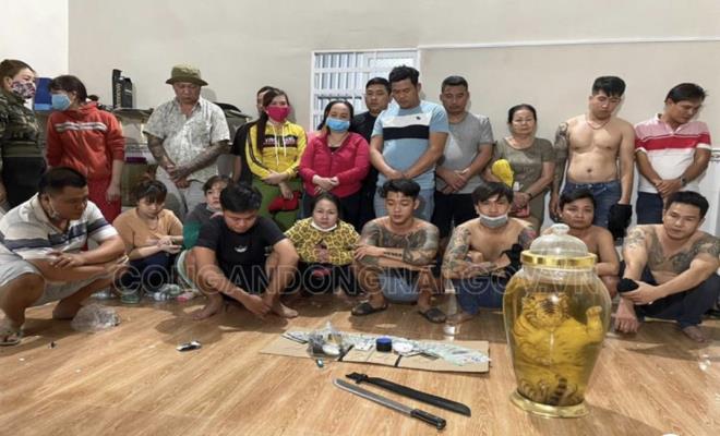 Phát hiện hổ ngâm nguyên con trong bình rượu tại sới bạc ở Đồng Nai - 1