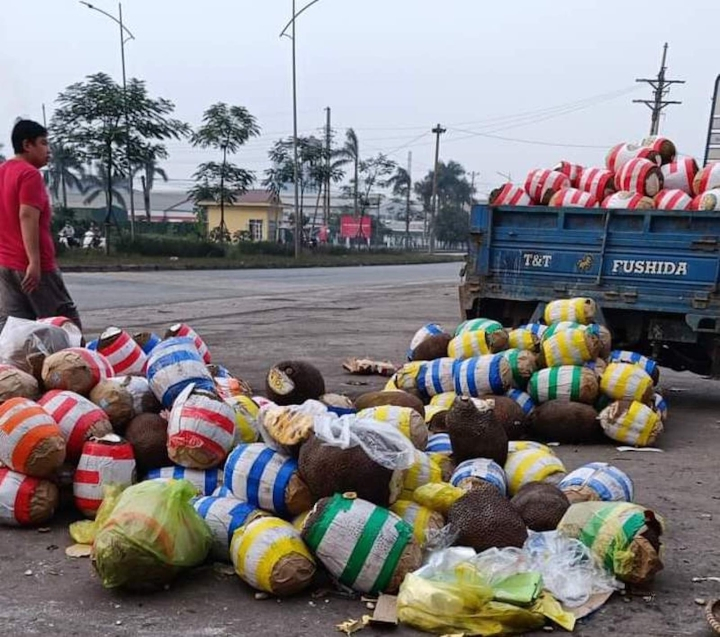Xe hàng chôn chân ở cửa khẩu Lạng Sơn: Doanh nghiệp bất lực nhìn tiền bốc hơi - 3