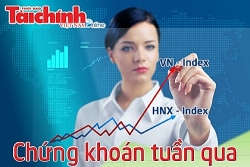 nha dau tu ban thao vn index do lua down jones thoi bay 1100 diem