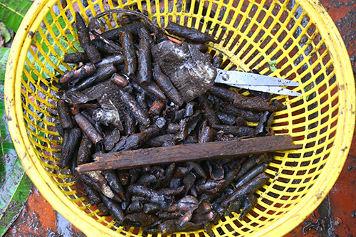 noi khiep so cua nan nhan vu no kho dan cu o bac ninh