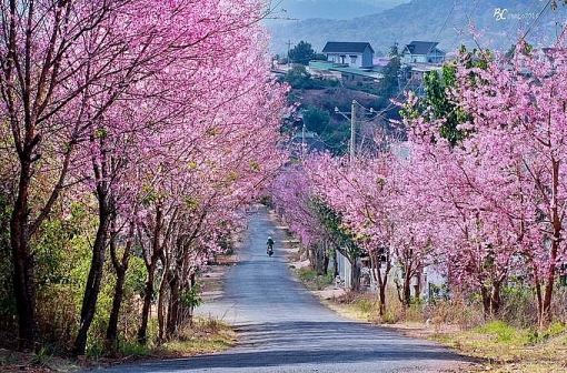 8 diem den dep nhat viet nam de du lich vao thang 1