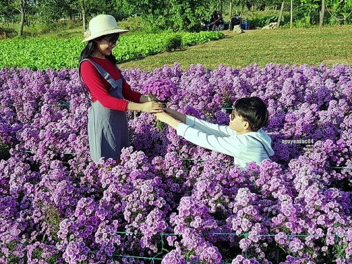 vuon hoa thach thao dang gay sot o ba ria vung tau