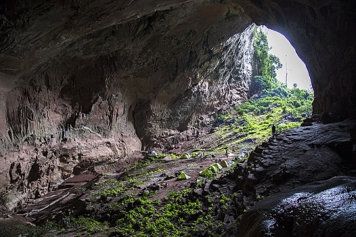 quang binh mo tour tham hiem den hang lon thu tu the gioi