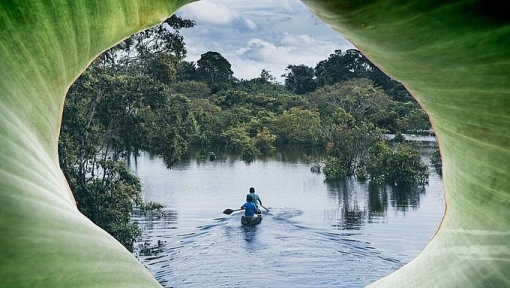 12 chuyen kham pha ngoan muc cho nam 2018