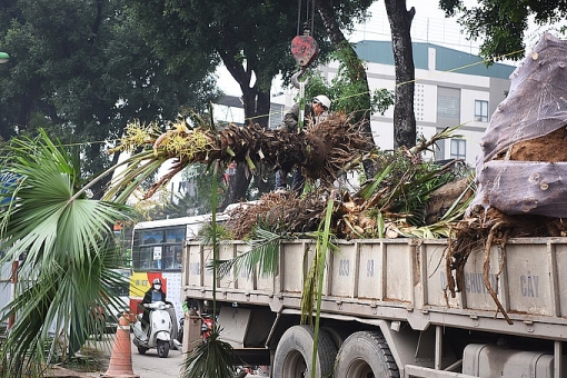 ha noi gap rut mo rong duong lang them 35 met