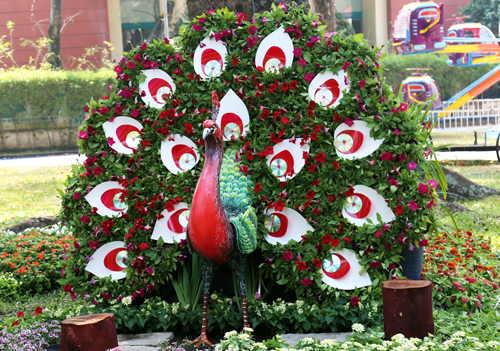 3000 ky hoa di thao o hoi hoa xuan lon nhat tp hcm