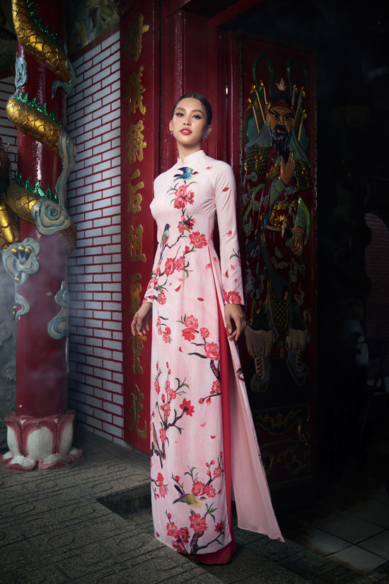 hoa hau tieu vy goi y chon ao dai tet