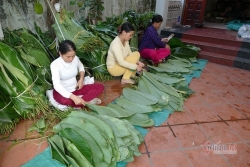 Làng sản xuất bánh chưng Hà Nội tất bật ngày cuối năm