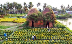 sac mau ruc ro o cho hoa ha noi