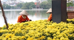 tet trong can nha rong