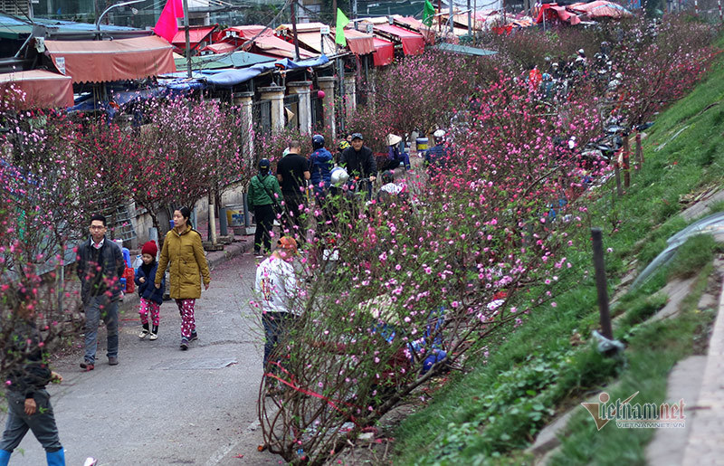 sac mau ruc ro o cho hoa ha noi