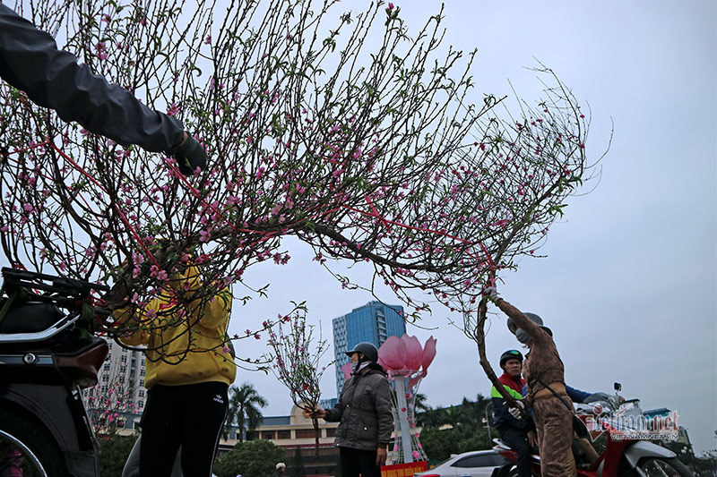 sac mau ruc ro o cho hoa ha noi