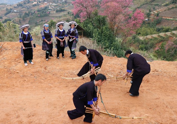 ruc ro sac hoa dao rung o vung reo cao tay bac mu cang chai