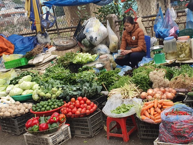 mung 4 tet rau xanh thuy hai san tai ha noi tang gia manh