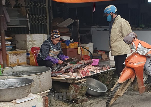 mung 4 tet rau xanh thuy hai san tai ha noi tang gia manh