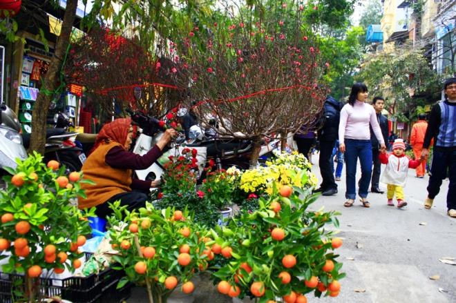 Hà Nội có 89 điểm chợ hoa xuân phục vụ Tết Tân Sửu 2021 - 1