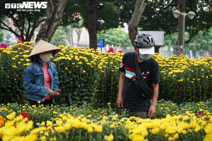 Mai, đào rực rỡ xuống phố Sài Gòn, chủ vườn lo lắng vì vắng người mua - 12