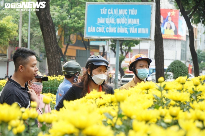 Mai, đào rực rỡ xuống phố Sài Gòn, chủ vườn lo lắng vì vắng người mua - 2