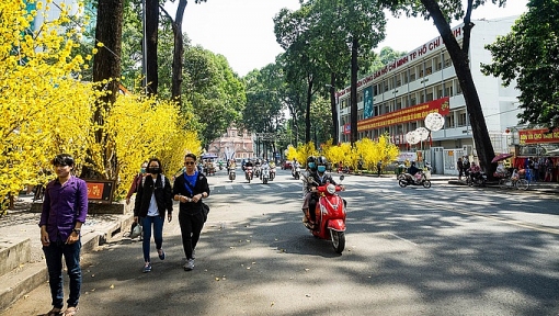 sai gon thay ao hoa san sang don tet 2018