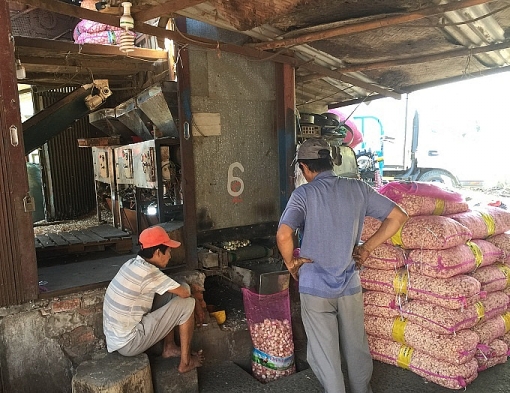 sai gon rat tay cay mat boc hanh toi nhan 2 nghin dongkg