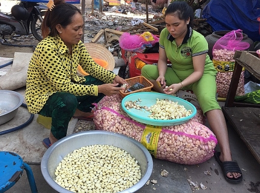 sai gon rat tay cay mat boc hanh toi nhan 2 nghin dongkg